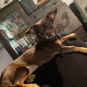 Meet your Posher, Heather